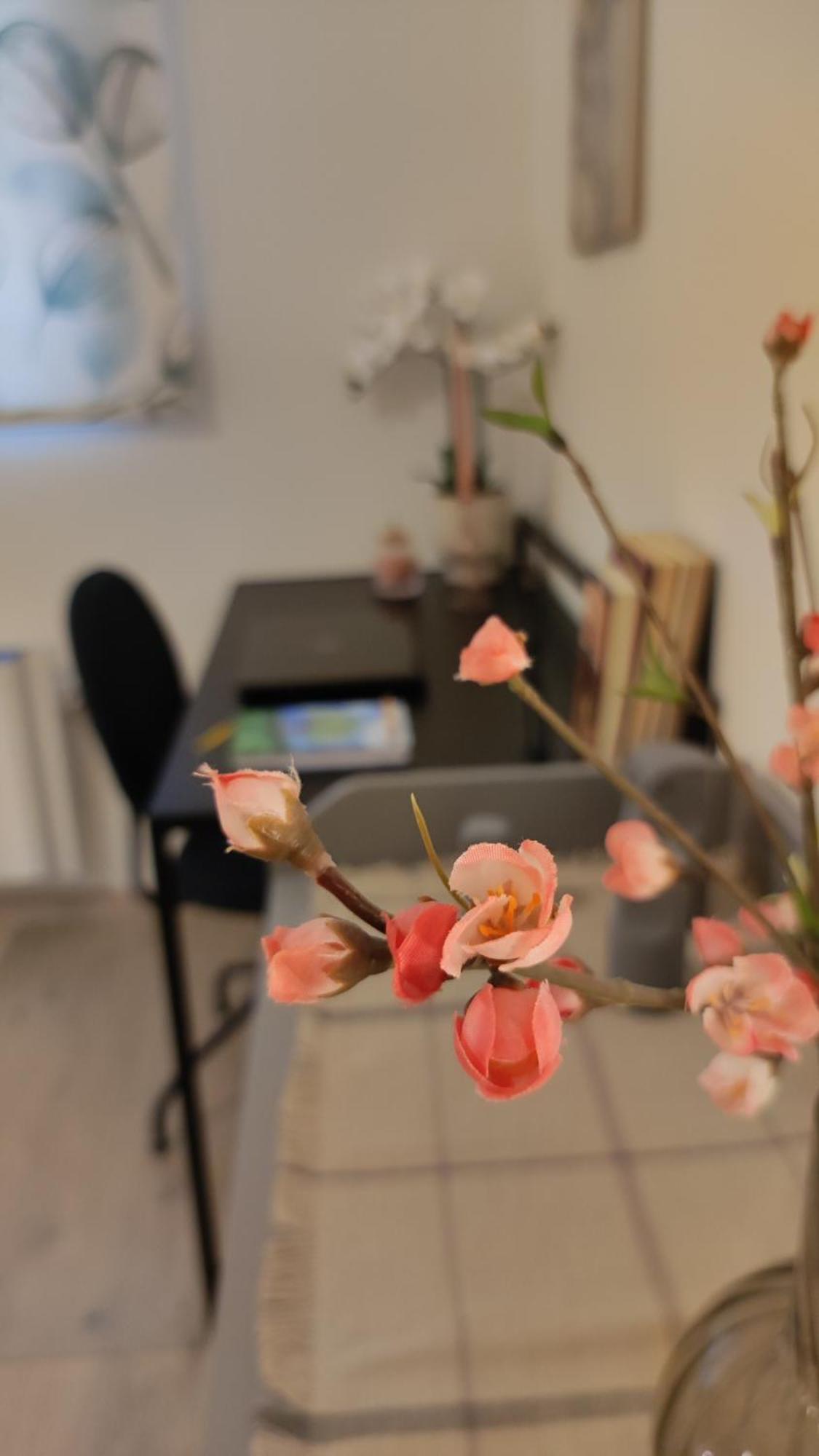 Minoan Gem Apartment イラクリオン エクステリア 写真